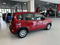 Usata Fiat Panda S 69 CV (50 kW) 2024 Rosso Utilitaria
