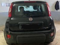 Usata Fiat Panda S 69 CV (50 kW) 2023 Nero Utilitaria