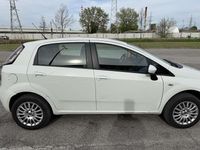 Usata Fiat Punto Active 60 CV (44 kW) 2014 Utilitaria