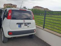 Usata Fiat Panda Easy 80 CV (58 kW) 2019 Utilitaria