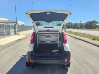 Usata Fiat Panda 4x4 Climbing 75 CV (55 kW) 2014 Bianco Utilitaria