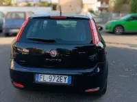Usata Fiat Punto Active 60 CV (44 kW) 2011 Utilitaria