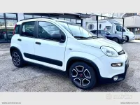 Usata Fiat Panda City Life 70 CV (51 kW) 2022 Bianco Utilitaria