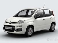 Usata Fiat Panda 70 CV (51 kW) 2016 Bianco Utilitaria