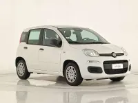 Usata Fiat Panda 69 CV (50 kW) 2025 Bianco gelato Utilitaria
