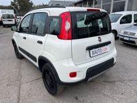 usata Fiat Panda 4x4 3ª serie 0.9 TwinAir Turbo S&S