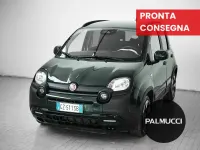 Usata Fiat Panda Cross Cross 70 CV (51 kW) 2025 Verde Utilitaria