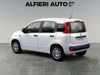 Nuova Fiat Panda Icon 65 CV (47 kW) 2025 Bianco Utilitaria