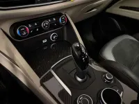 Usata Alfa Romeo Stelvio Quadrifoglio Verde 510 CV (375 kW) 2019 Bluazzurro SUV