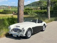 Usata Austin Healey 100/6 1950 Bianco Cabrio