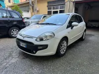 Usata Fiat Punto Evo Dynamic 75 CV (55 kW) 2010 Bianco Utilitaria