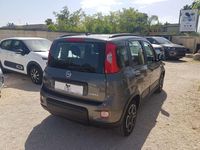 Usata Fiat Panda City Life 70 CV (51 kW) 2022 Grigio Utilitaria