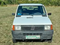 Usata Fiat Panda 4x4 54 CV (39 kW) 1997 Bianco Utilitaria