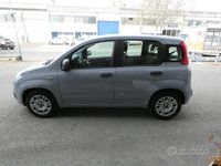 Usata Fiat Panda Easy 69 CV (50 kW) 2018 Grigio Utilitaria