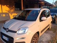 Usata Fiat Panda Lounge 69 CV (50 kW) 2017 Utilitaria