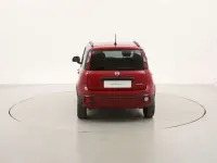 Usata Fiat Panda Cross Cross 69 CV (50 kW) 2024 Rosso Utilitaria