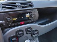 Usata Fiat Panda 44 CV (32 kW) 2022 Utilitaria