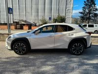 usata Lexus UX 250h 2wd premium