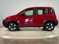 Usata Fiat Panda Cross Cross 69 CV (50 kW) 2022 Rosso Utilitaria