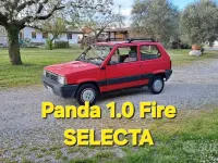 Usata Fiat Panda 54 CV (39 kW) 1996 Rosso Utilitaria