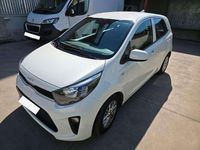 Usata Kia Picanto Urban 65 CV (47 kW) 2023 Bianco Utilitaria