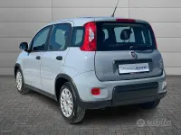 Usata Fiat Panda S 70 CV (51 kW) 2023 Grigio Utilitaria