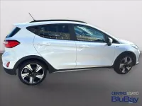 Usata Ford Fiesta Active 125 CV (91 kW) 2023 Frozen white Utilitaria