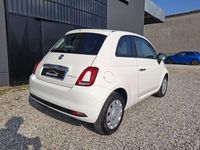 Usata Fiat 500 69 CV (50 kW) 2022 Other Utilitaria