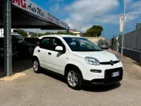Usata Fiat Panda S 69 CV (50 kW) 2024 Bianco Utilitaria