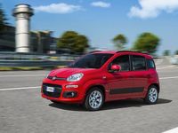 Usata Fiat Panda Lounge 69 CV (50 kW) 2020 Nero Utilitaria