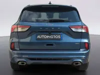 Usata Ford Kuga ST-Line 152 CV (111 kW) 2023 Blu SUV