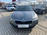 Usata Skoda Felicia Executive 150 CV (110 kW) 2022 Grigio Station wagon