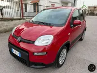 Usata Fiat Panda Cross Cross 69 CV (50 kW) 2023 Rosso Utilitaria