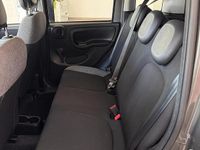 Usata Fiat Panda City Life 70 CV (51 kW) 2022 Grigio Utilitaria