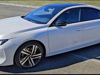 Usata Peugeot 508 S 181 CV (133 kW) 2019 Bianco Berlina