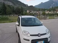 Usata Fiat Panda 4x4 95 CV (69 kW) 2016 Bianco Utilitaria