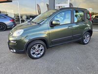 Usata Fiat Panda 4x4 Climbing 75 CV (55 kW) 2014 Verde Utilitaria
