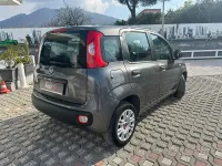 Usata Fiat Panda Easy 69 CV (50 kW) 2019 Grigio Utilitaria
