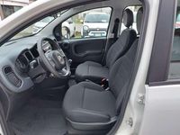 Usata Fiat Panda 69 CV (50 kW) 2024 Bianco Utilitaria