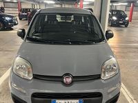 Usata Fiat Panda 69 CV (50 kW) 2018 Utilitaria