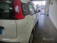 Usata Fiat Panda 75 CV (55 kW) 2016 Bianco Utilitaria