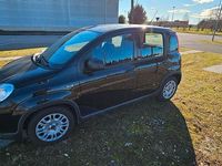Usata Fiat Panda S 70 CV (51 kW) 2024 Nero Utilitaria