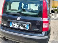 Usata Fiat Panda 60 CV (44 kW) 2011 Utilitaria