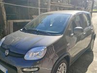 Usata Fiat Panda S 69 CV (50 kW) 2024 Utilitaria