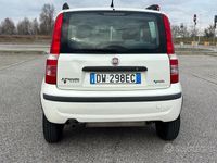 Usata Fiat Panda Dynamic 60 CV (44 kW) 2009 Bianco Utilitaria