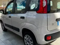 Usata Fiat Panda 85 CV (62 kW) 2015 Utilitaria