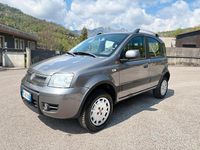 Usata Fiat Panda 4x4 Climbing 69 CV (50 kW) 2010 Grigio Utilitaria