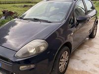 Usata Fiat Punto Lounge 69 CV (50 kW) 2013 Utilitaria
