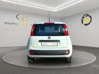 Usata Fiat Panda S 69 CV (50 kW) 2022 Bianco Utilitaria