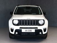 usata Jeep Renegade 1.6 MULTIJET 130CV LIMITED